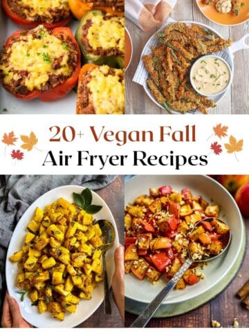 Vegan Fall Air Fryer Recipes.